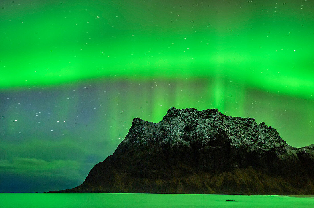 Aurora borealis, Polarlicht über Nordmeer und verschneitem Berg, Lofoten, Norland, Norwegen