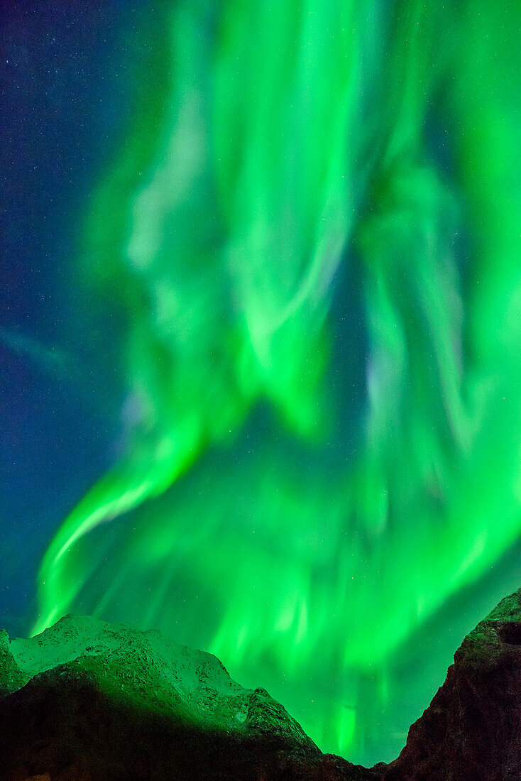 Aurora borealis, Aurora above snow-covered mountains, Lofoten, Norland, Norway