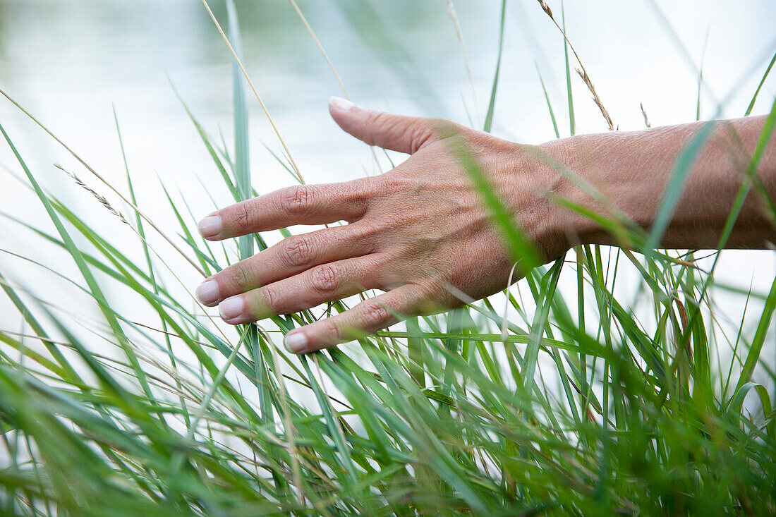 Frauenhand streicht durch grünes Gras vor hellem Hintergrund, Deutschland, Europa