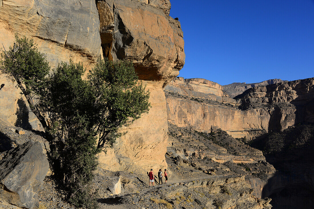 'Hiken im ''Grand Canyon'' am Jebel Shams, Akhdar Gebirge, Oman'