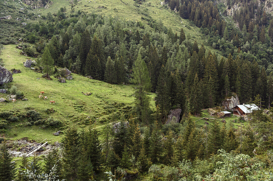 Mountainbiker at Giglach Lake, Rohrmoos, Lower Tauern Mountains, Steiermark, Austria