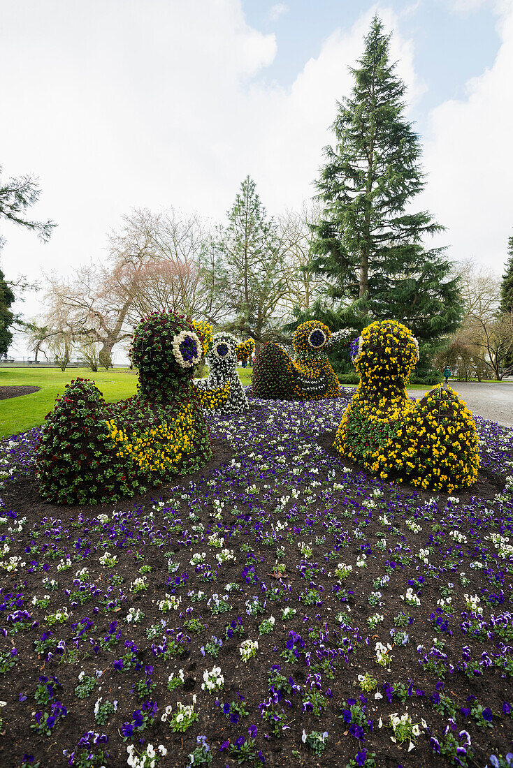 Blooming flower beds, spring, Mainau Island, Flower Island, Constance, Lake Constance, Baden-Württemberg, Germany