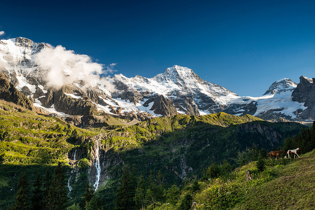 Tschingelhorn behind with snow, Lauterbrunnen, Swiss Alps Jungfrau-Aletsch, Bernese Oberland, Canton of Bern, Switzerland