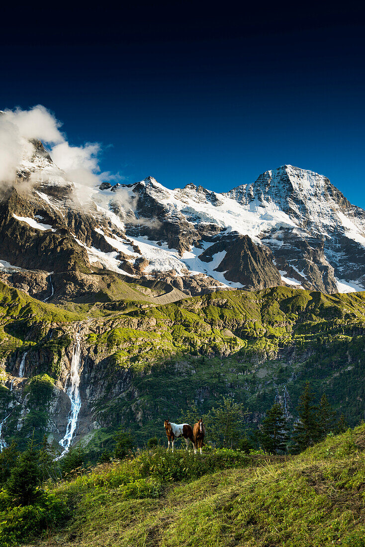 Tschingelhorn behind with snow, Lauterbrunnen, Swiss Alps Jungfrau-Aletsch, Bernese Oberland, Canton of Bern, Switzerland