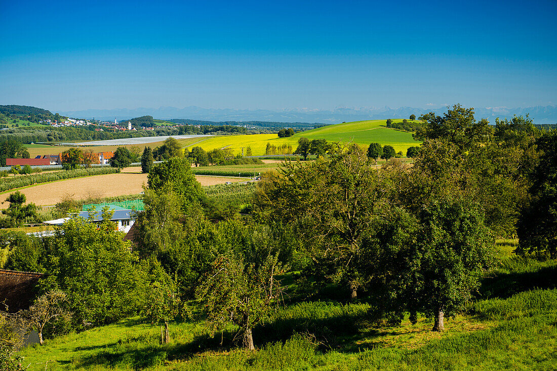 Landschaft bei Salem, Bodensee, Baden-Württemberg, Deutschland