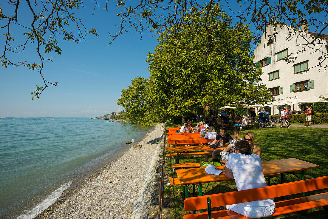 Biergarten, Weingut Haltnau, Meersburg, Bodensee, Baden-Württemberg, Deutschland