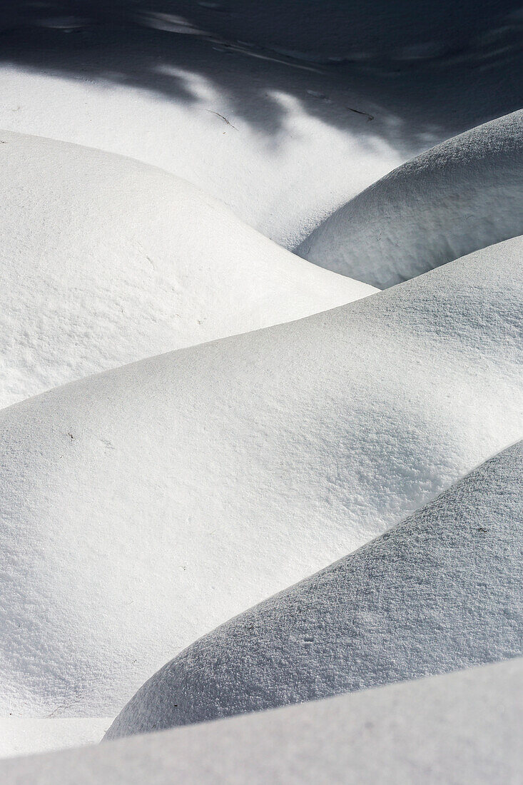 Detail of snow covered rolling layers of a creek bank, Alberta, Canada