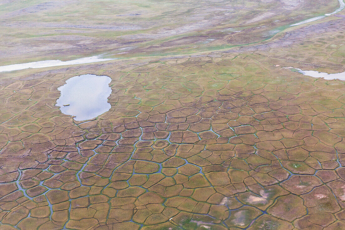 Aerial view of a pond on marshy tundra, Anchorage, Alaska, United States of America