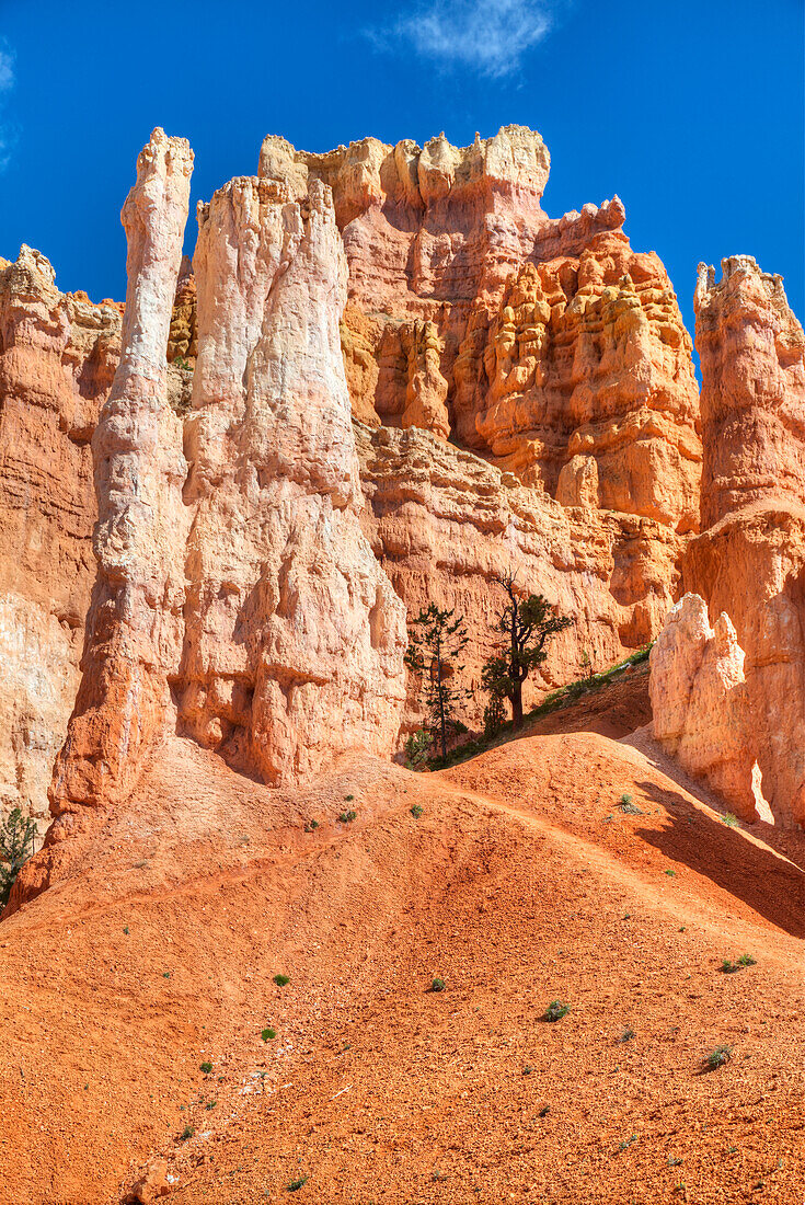 Hoodoos on the Queens Garden Trail, Bryce Canyon National Park, Utah, United States of America