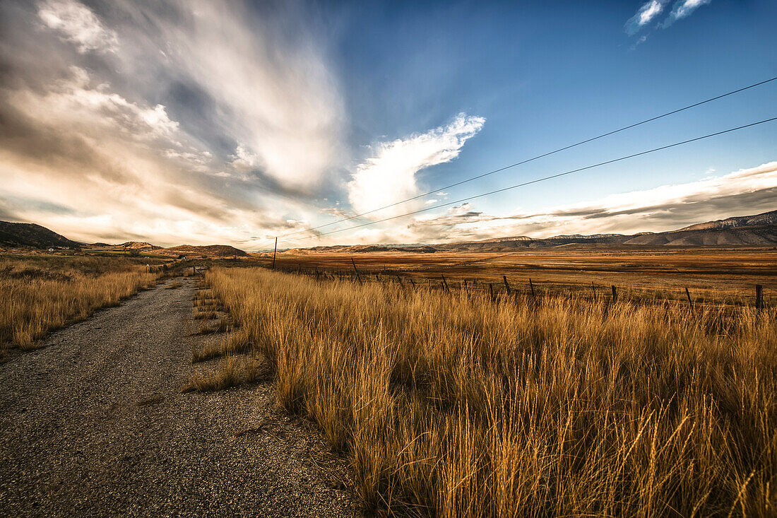 Grass growing along a gravel road, Utah, United States of America