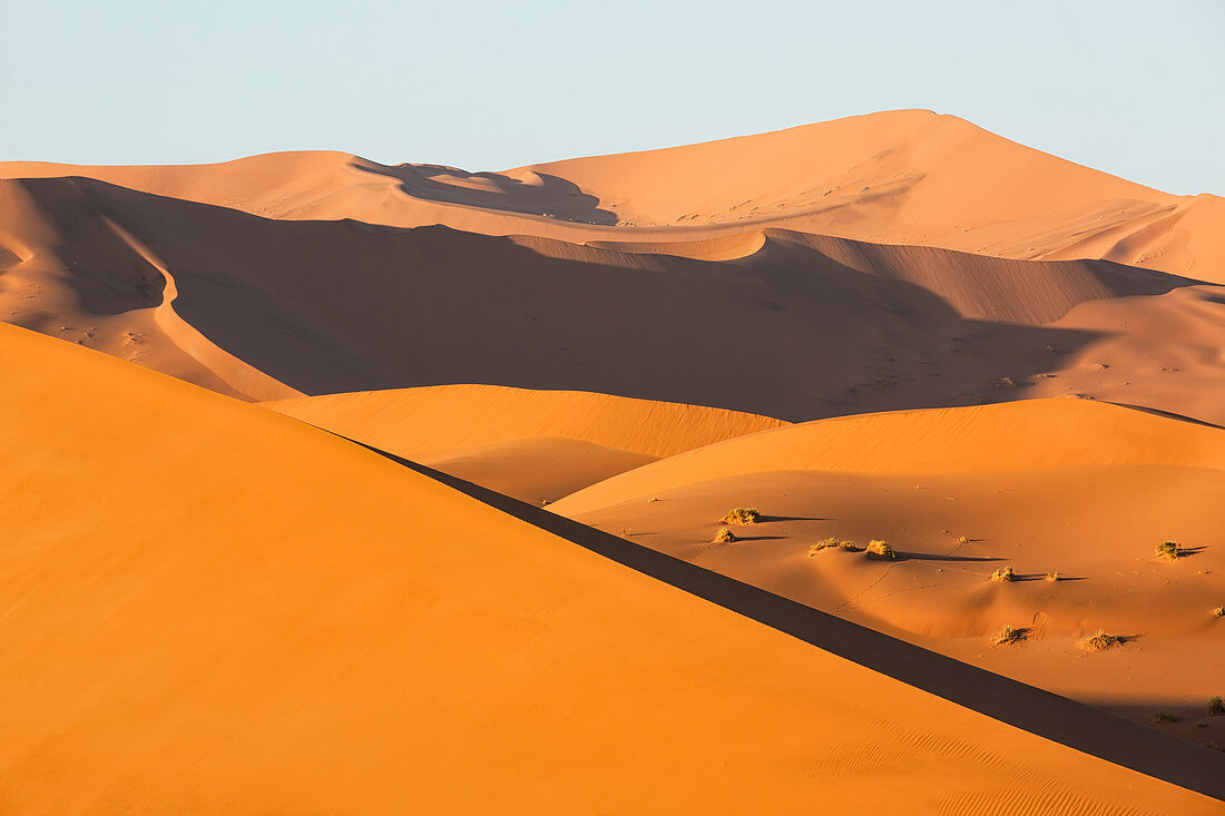 Sunrise light illuminate the large, red sand dunes in Sossusvlei which is part of the Namib desert, Namibia