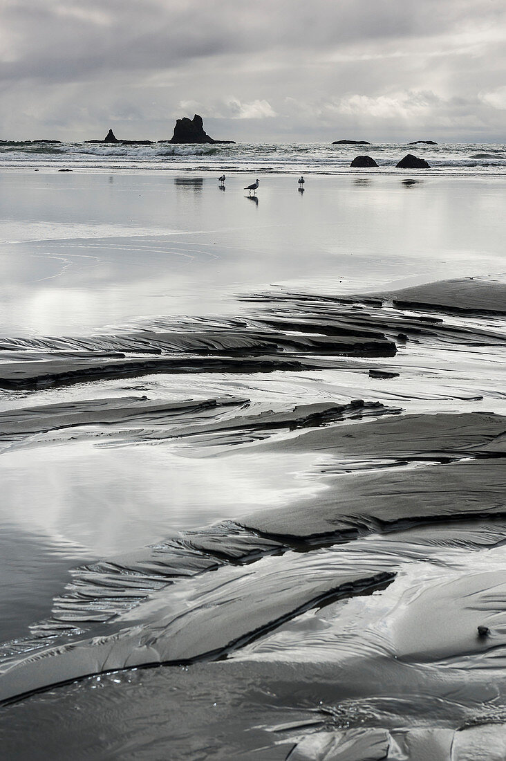Second Beach sand formations, Olympic National Park, Washington, United States of America