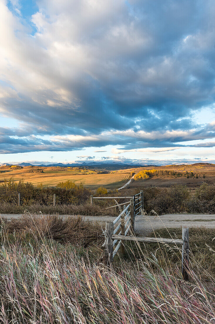 Prairie gate and big sky, near Longview, Alberta, Canada