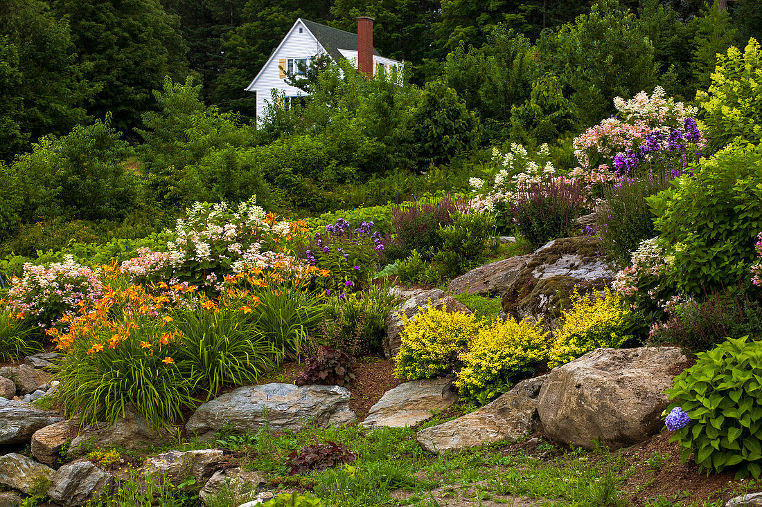 Rock garden and colourful blossoming plants, Knowlton, Quebec, Canada