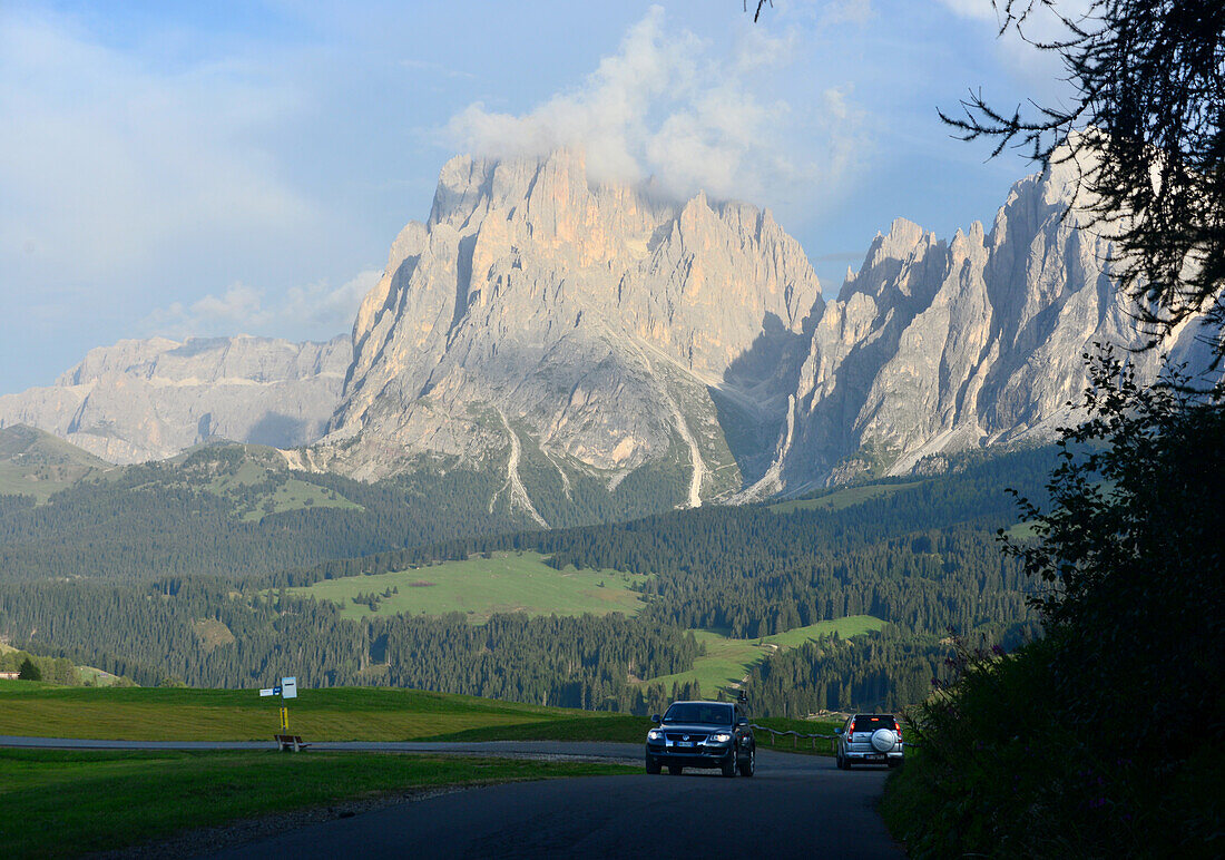 On the Seiser alp with Langkofel, Dolomite Alps, South Tyrol, Italy