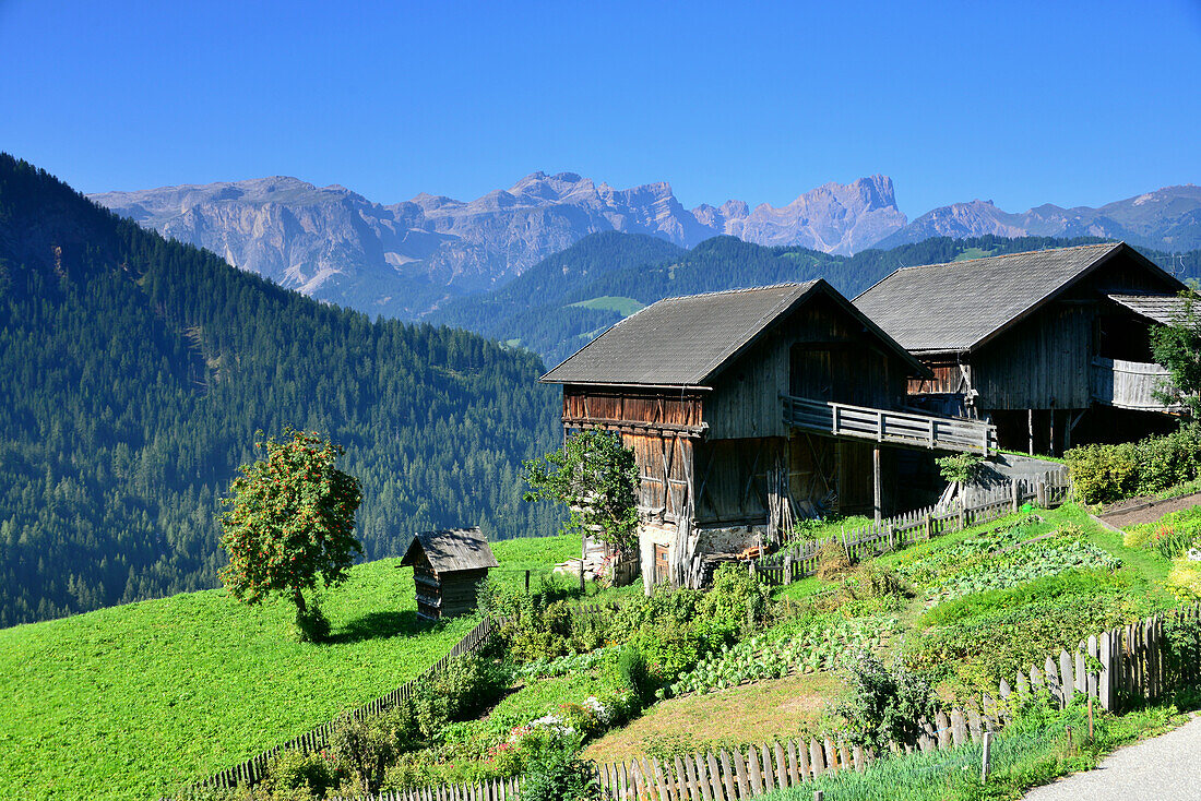 Farmhouses in Wengen/La Valle, Val Badia, Dolomite Alps, South Tyrol, Italy