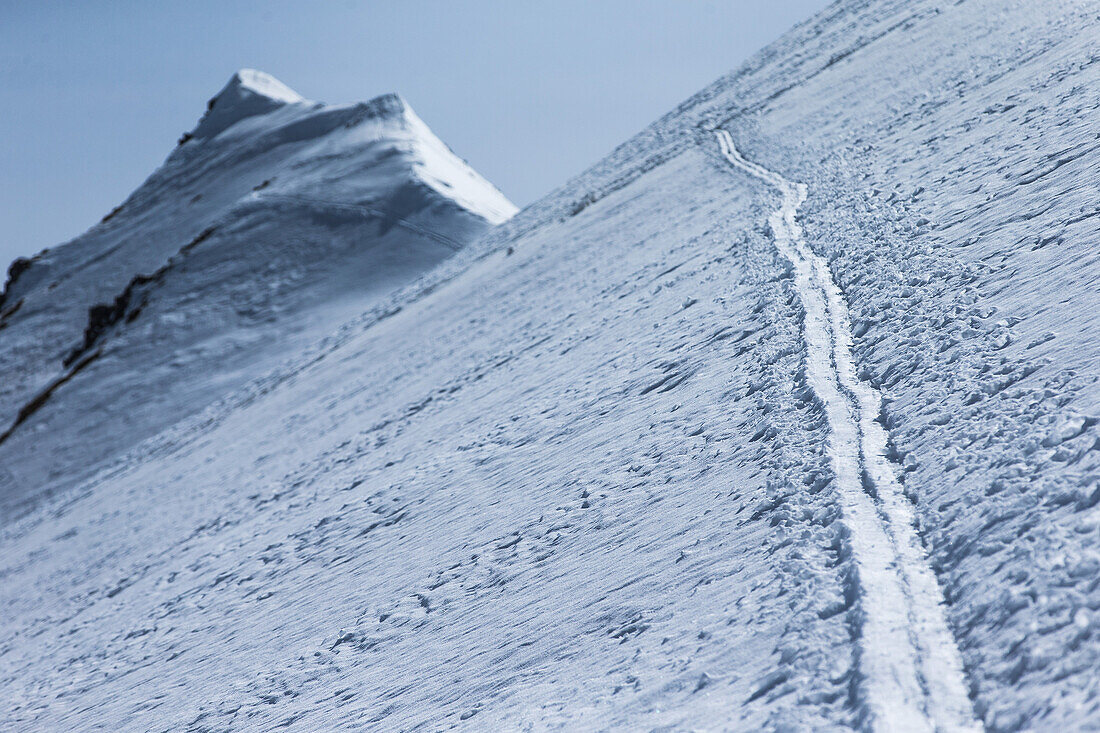 Ski tracks in the deep powder snow, Gudauri, Mtskheta-Mtianeti, Georgia