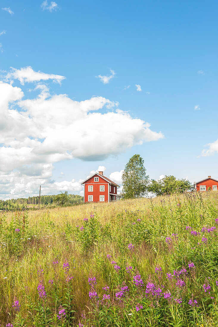 Rote Holzhäuser auf dem Gut von Selma Lagerlöf, Marbacka, Gemeinde Sunne, Marbacka, Värmland, Schweden