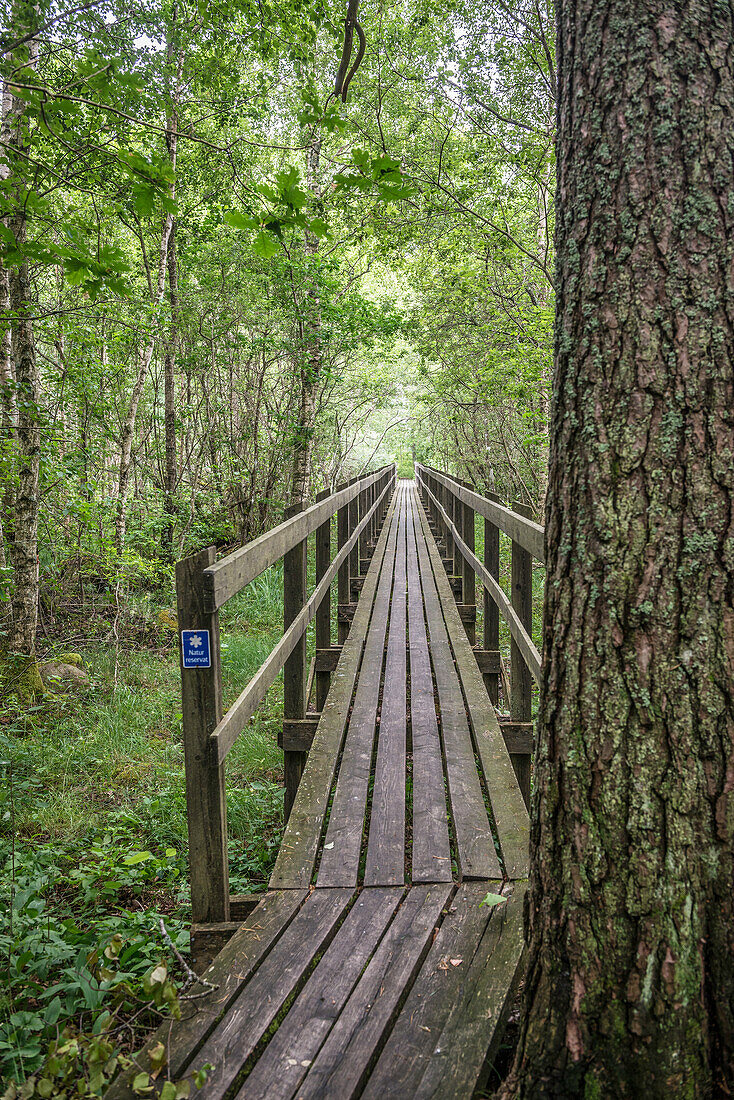 Holzbrücke im Wald des Naturreservats am Vänernsee, Västergötland, Schweden