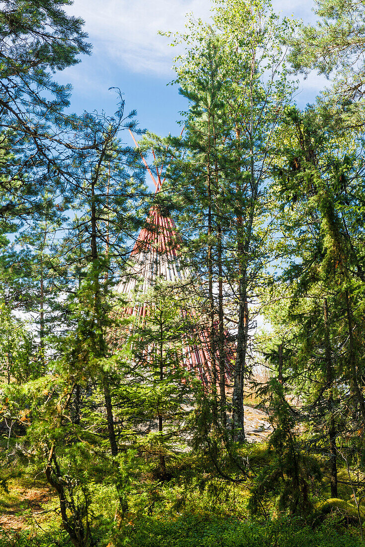 Blick durch grüne Nadelbäume auf ein Holzzelt, Öregrund, Uppsala, Schweden