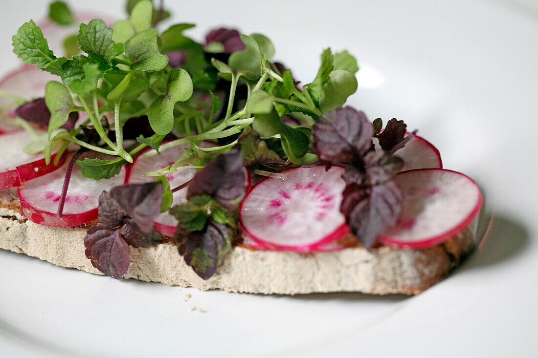Slice of bread with radishes and sprouts, Munich, Bavaria, Germany