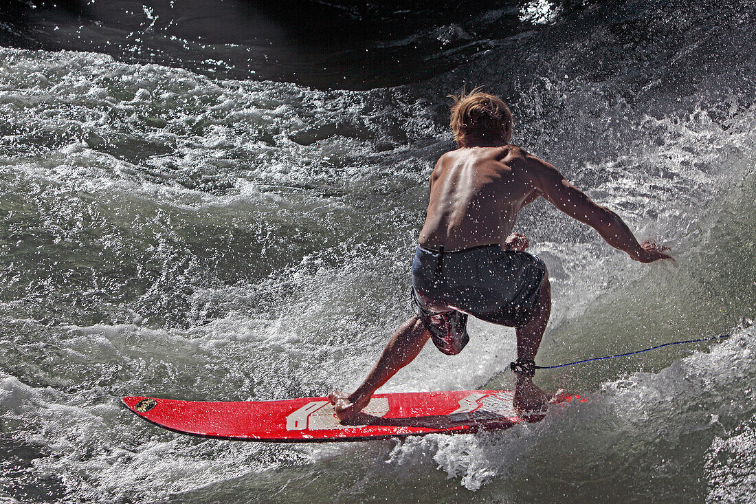 Surfer on the Eisbach in the English Garden, Englischer Garten, Munich, Bavaria, Germany