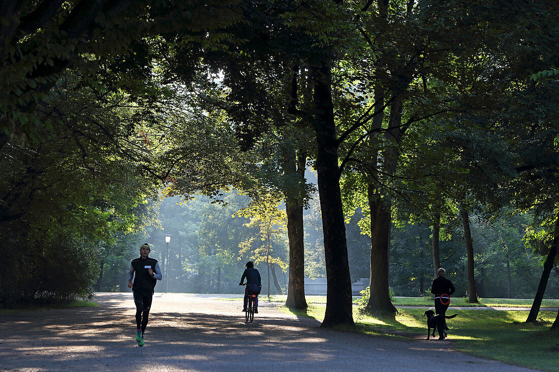 Morning walk, Englischer Garten, Munich, Bavaria, Germany