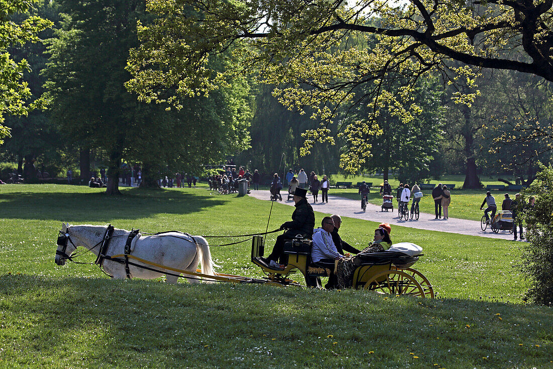 Horse-drawn carriage, Englischer Garten, Munich, Bavaria, Germany