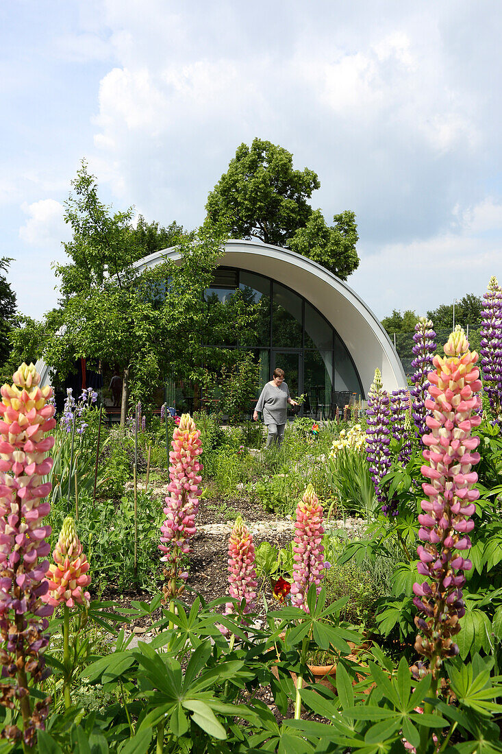 Generationengarten project, Petuelpark, Schwabing, Munich, Bavaria, Germany