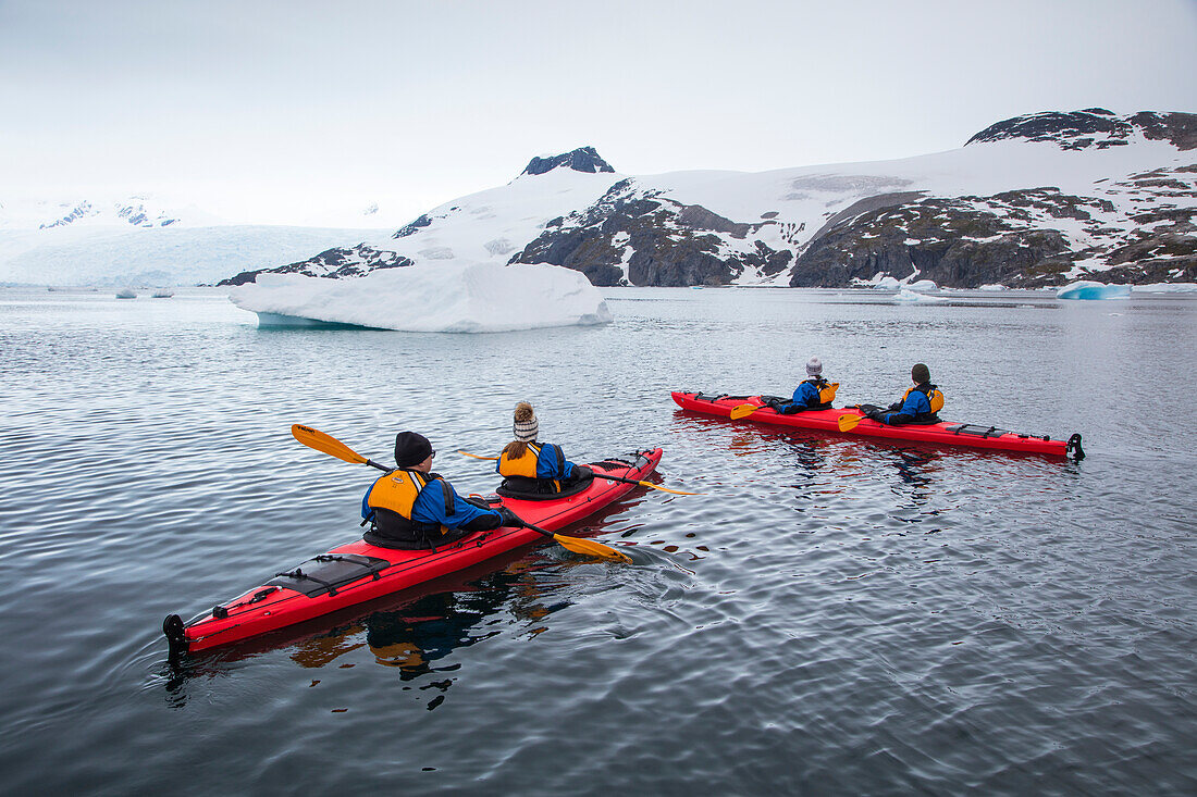 Sea kayak excursion along ice floes and icebergs for passengers of expedition cruise ship MV Sea Spirit (Poseidon Expeditions) Cierva Cove, Graham Land, Antarctic Peninsula, Antarctica