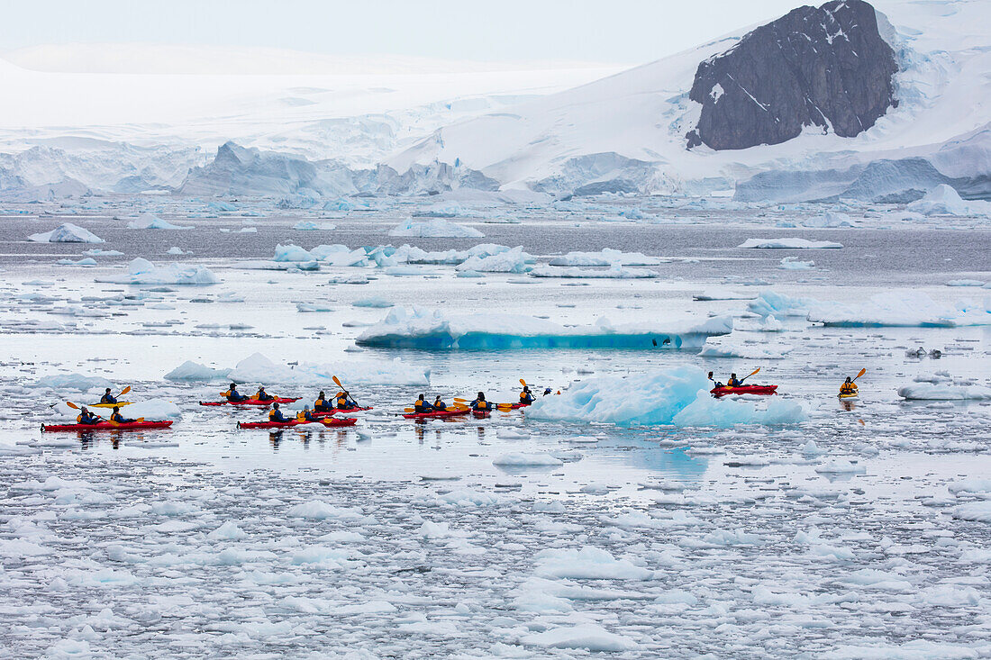 Sea kayak excursion along ice floes and icebergs for passengers of expedition cruise ship MV Sea Spirit (Poseidon Expeditions) Cierva Cove, Graham Land, Antarctic Peninsula, Antarctica