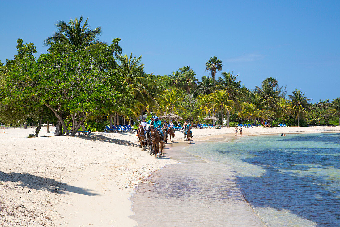 Reitausflug für Gäste vom Half Moon Resort entlang Strand Sunrise Beach und ins Meer, Rose Hall, nahe Montego Bay, Saint James, Jamaika