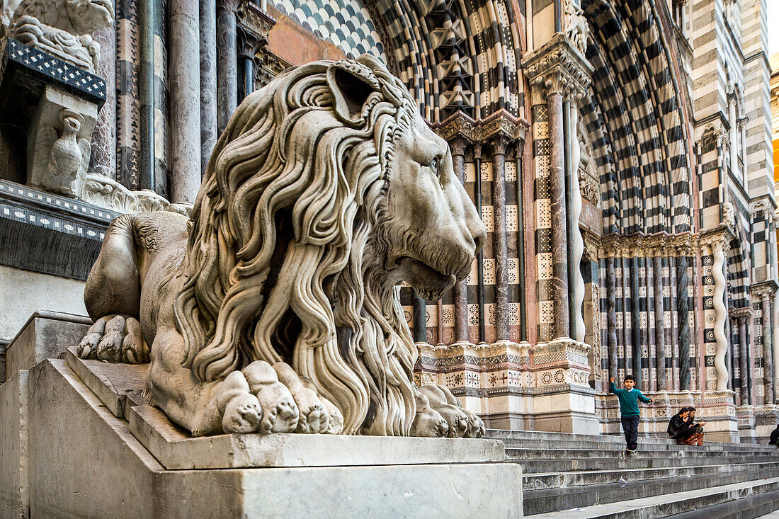 Skulptur, Löwe vor der Kathedrale San Lorenzo, Detail außen, Junge spielt auf der Treppe, Genua, Ligurien, Italien