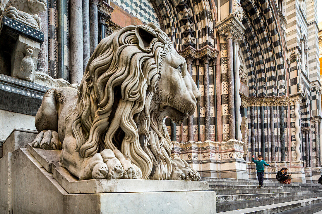 stone lion sculpture at entrance to Cathedral of San Lorenzo, Genoa, exterior, Cathedral Square, Genoa, Liguria, Italy