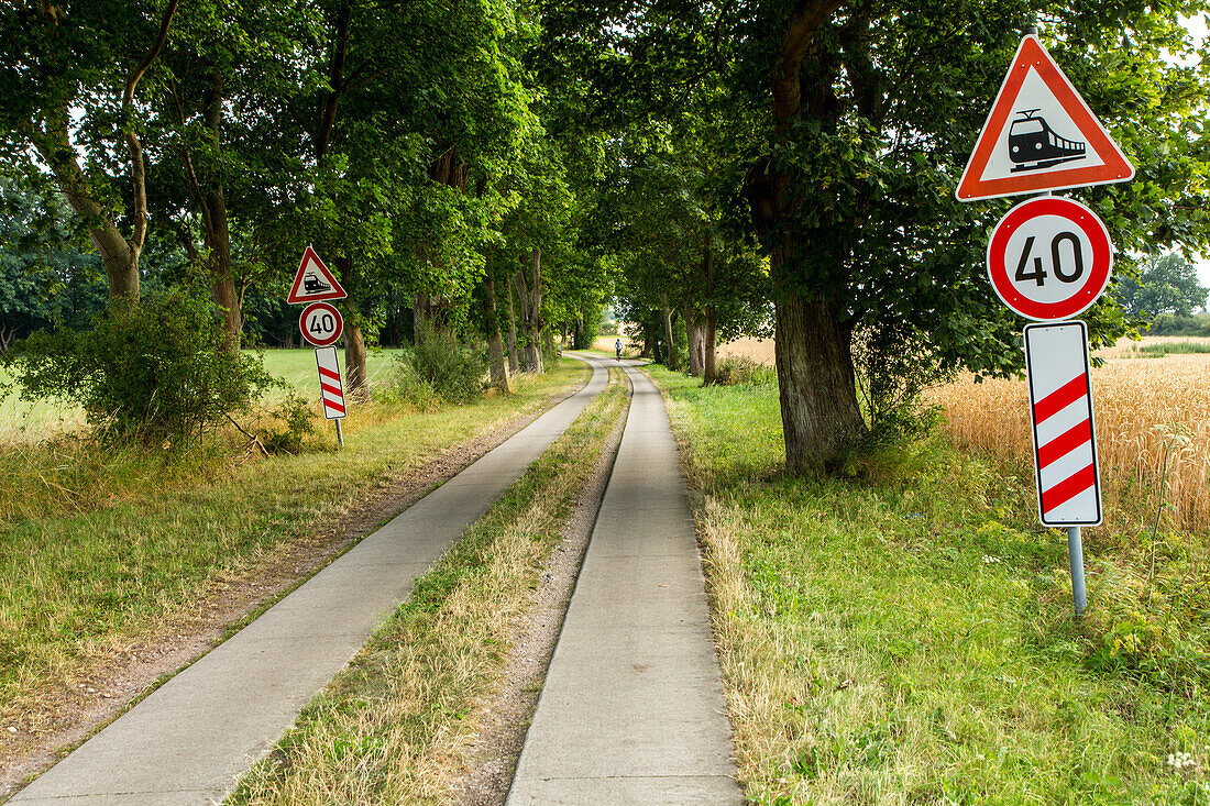 avenue of trees, rail crossing signs, country path, Mecklenburg-Vorpommern, Germany