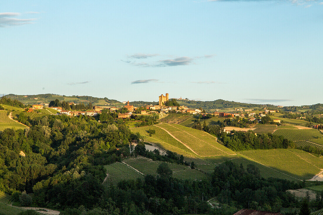 Serralunga d'Alba, Weinberge, Hügellandschaft, Weinbaugebiet Langhe in Piemont, Provinz Cuneo, Italien