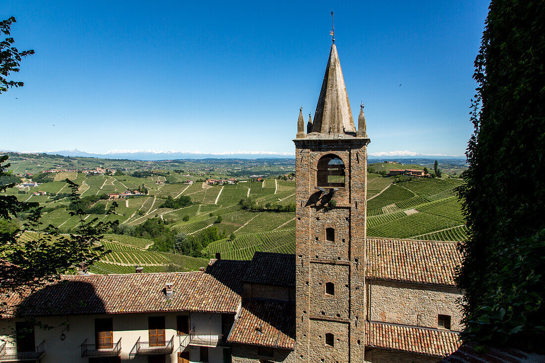 Kirchturm und Aussicht Serralunga d' Alba, Weinberge, Schneeberge, Hügellandschaft, Weinbaugebiet Langhe in Piemont, Provinz Cuneo, Italien