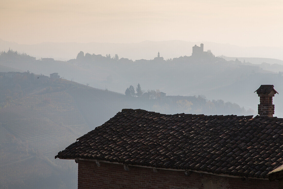 early morning view across to Serralunga d'Alba, vineyards in the Langhe landscape in Piedmont, Italy