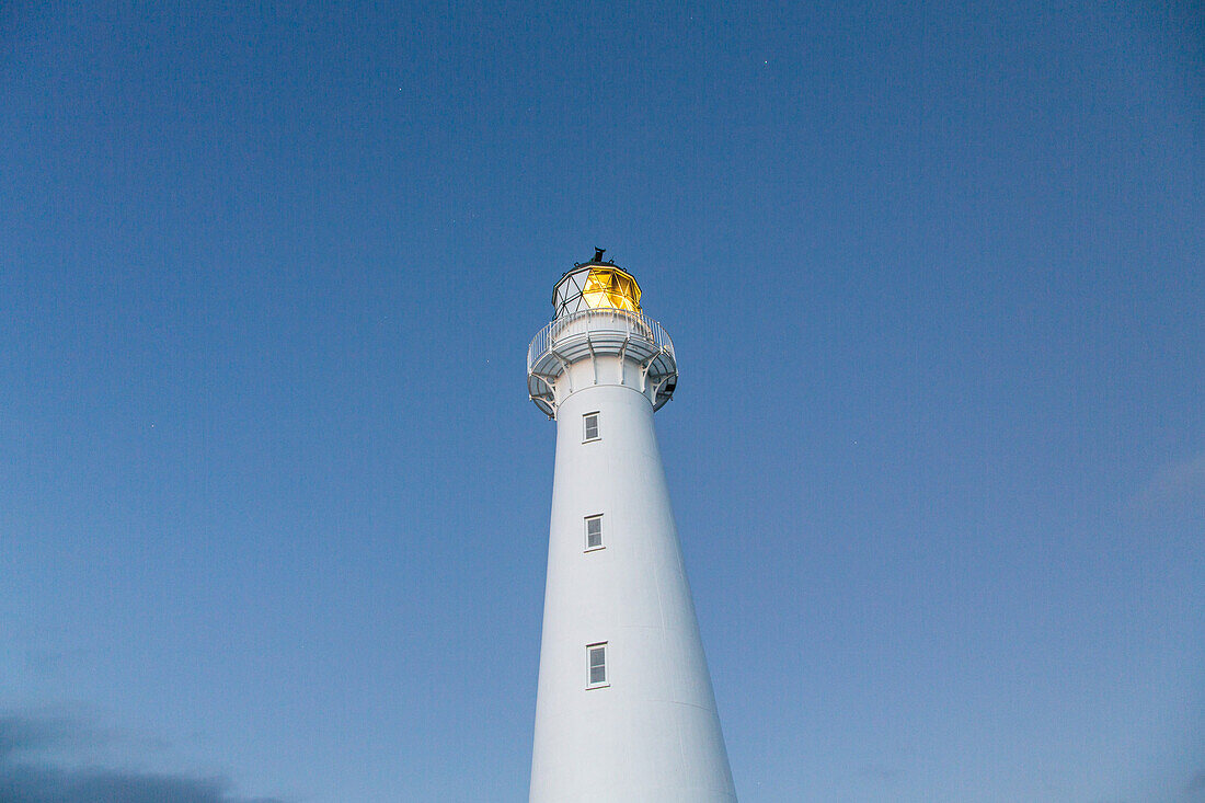 Light on in white lighthouse from below, night shot, tower, Castlepoint, North Island, New Zealand