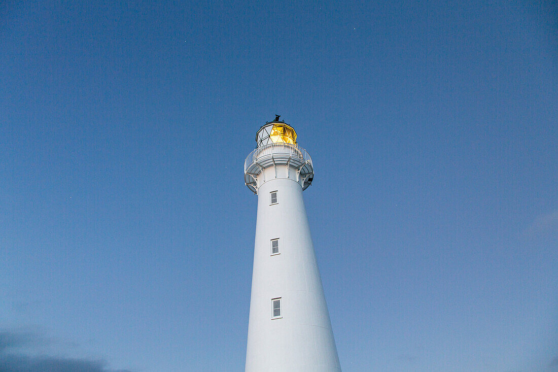 weiCer Leuchtturm von unten gesehen, Nacht, Leuchtfeuer, Castlepoint, blauer Himmel, Turm, Nordinsel, Neuseeland