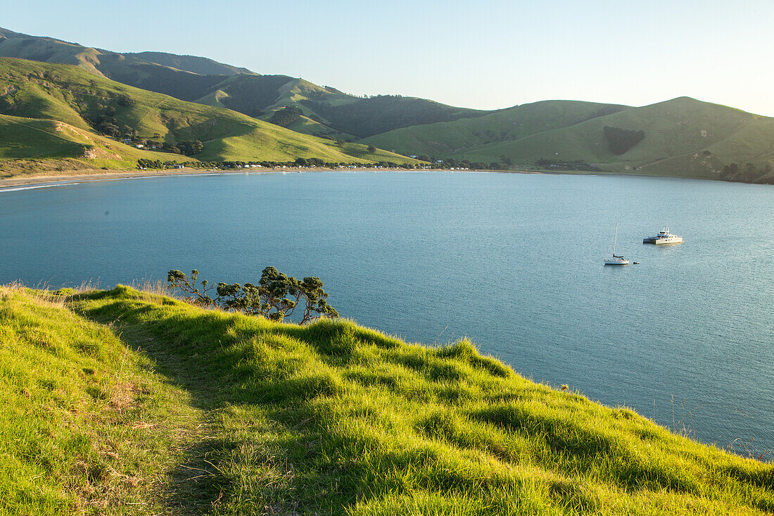 Port Jackson, sheltered bay, farmland and campsite, Coromandel Peninsula, landscape, North Island, New Zealand