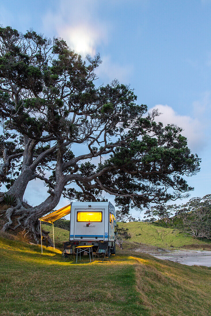 Camping, Allrad-Camper, Reisemobil, Niemand, Abseits, allein, Pohutukawa-Baum, einsam, Idylle, Freiheit, unabhängig, paradiesischer Campingplatz, blaue Stunde, Nachtaufnahme, romantische Abendstimmung, Natur, Elliot Bay, Nordinsel, Neuseeland