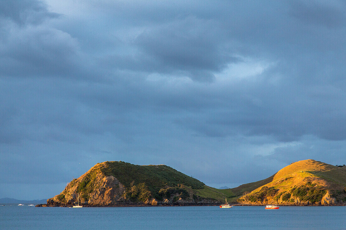 boats in evening sun, sheltered bay, Port Jackson, Coromandel Peninsula, North Island, New Zealand