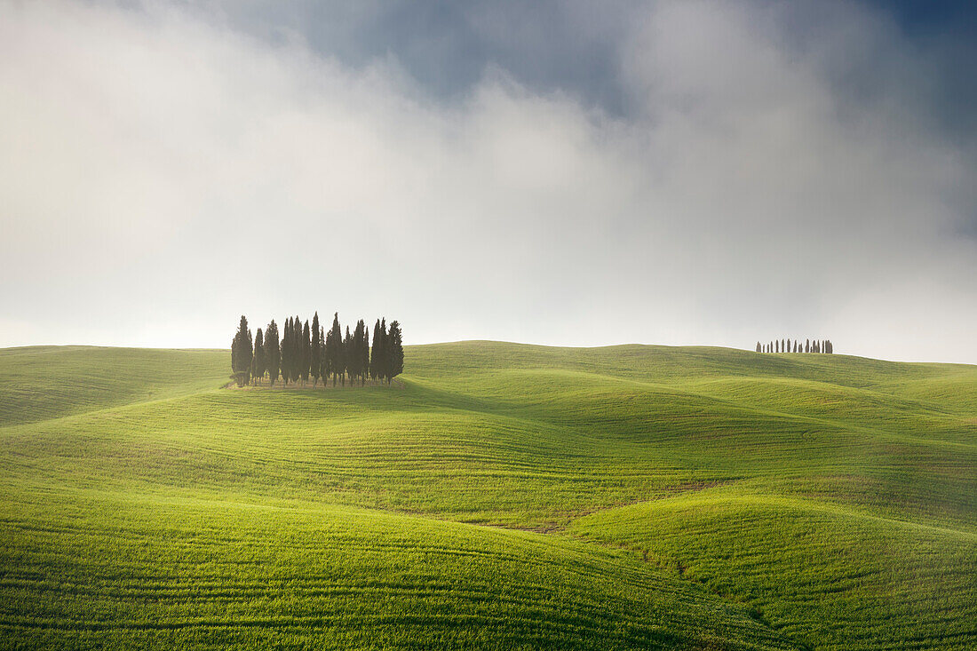 Toskanische Hügellandschaft des Val d'Orcia mit Zypressenhain in der Morgensonne mit Nebel im Frühling, San Quirico d’Orcia, Toskana, Italien