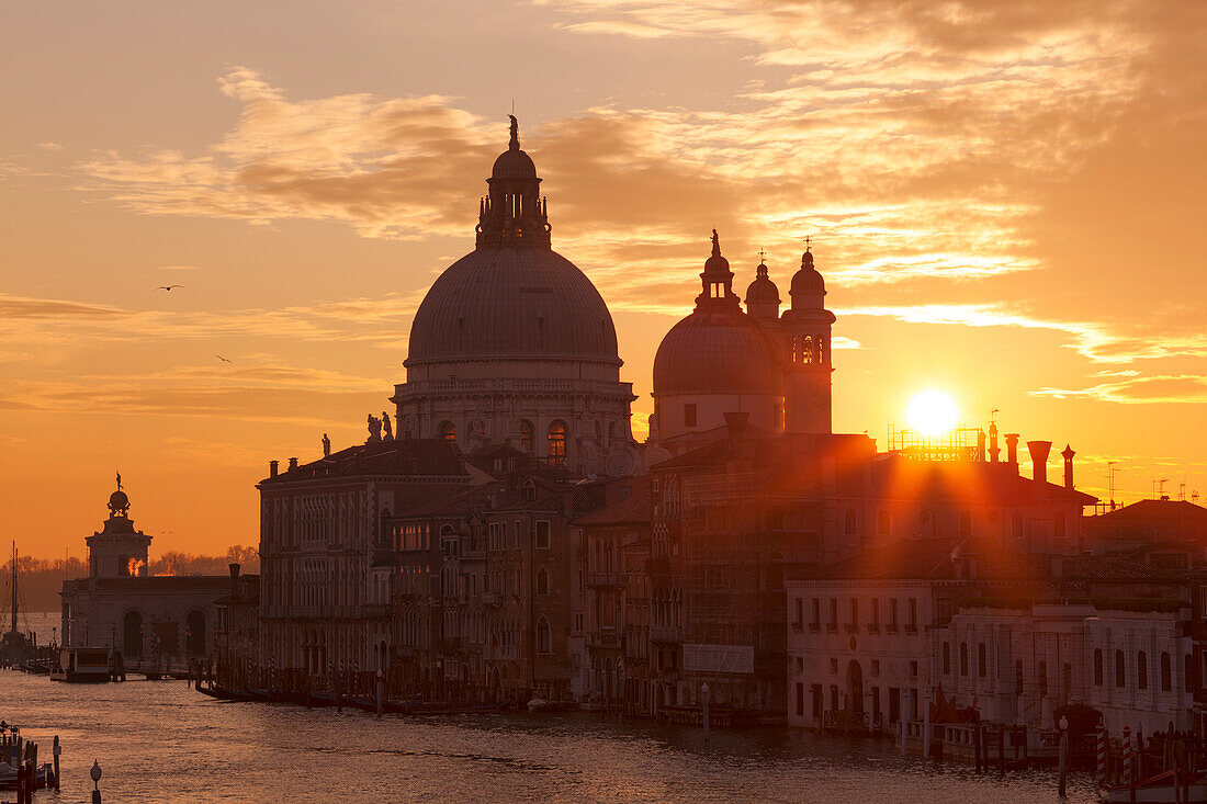 Sonnenaufgang mit Blick über den Canal Grande auf die Kirche Santa Maria della Salute, Dorsoduro, Venedig, Venezien, Italien