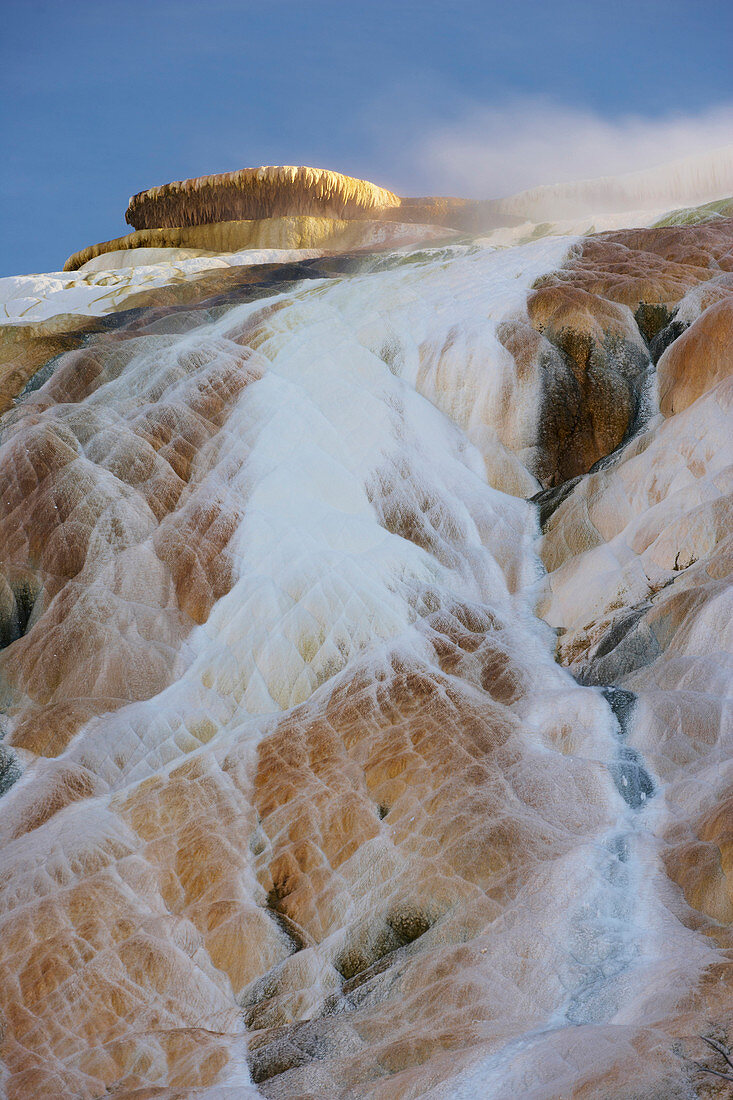 Mammoth Hot Springs Terraces , Mammoth Hot Springs , Yellowstone National Park , Wyoming , U.S.A. , America
