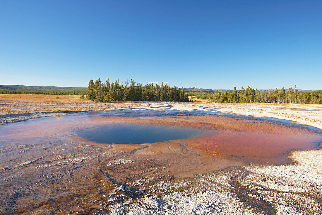 Midway Geyser Basin , Super volcano , Yellowstone National Park , Wyoming , U.S.A. , America