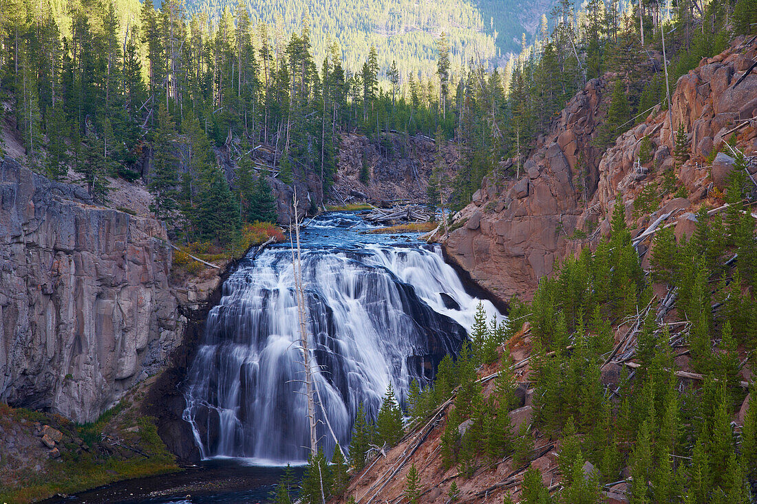 Gibbon River und Gibbon Falls , Yellowstone National Park , Wyoming , U.S.A. , America