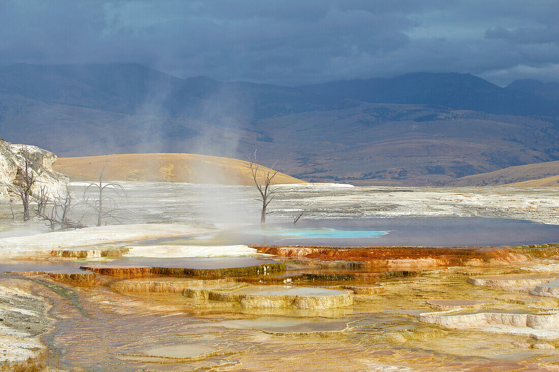 Sinterterrassen von Mammoth Hot Springs , Yellowstone National Park , Wyoming , U.S.A. , Amerika