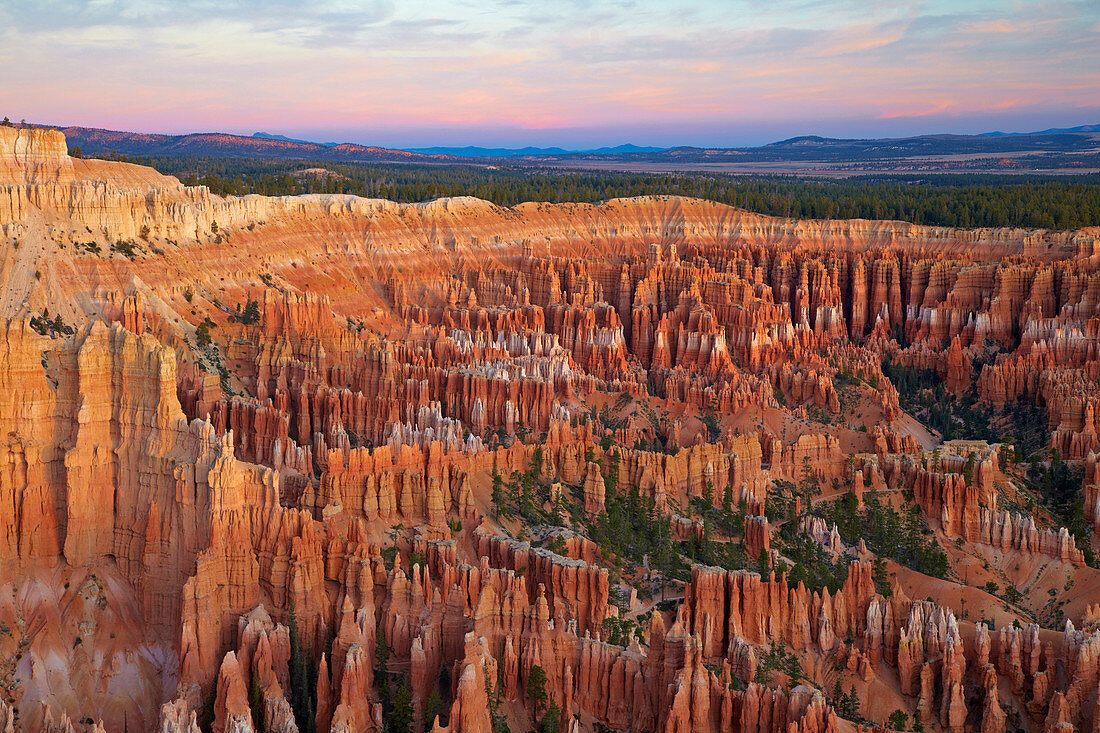 Blick vom Bryce Point in das Bryce Amphitheater , Bryce Canyon National Park , Utah , U.S.A. , Amerika